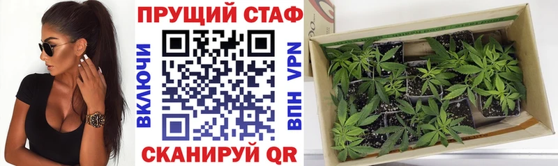 Купить закладку Галлюциногенные грибы  Меф  ЭКСТАЗИ  Cocaine  A PVP  Гашиш  Отрадный