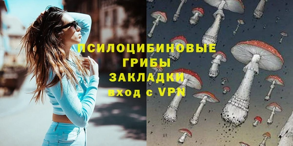 apvp Мегион